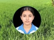 ৫ ধানক্ষেতে দৌড়াদৌড়ি, প্রাণপণ চেষ্টা করেও বাঁচতে পারেনি তাজমিন