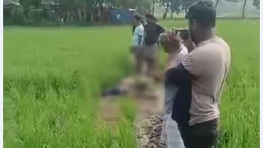 নোয়াখালীতে ইঁদুর মারার বৈদ্যুতিক ফাঁদে প্রাণ গেল কৃষকের