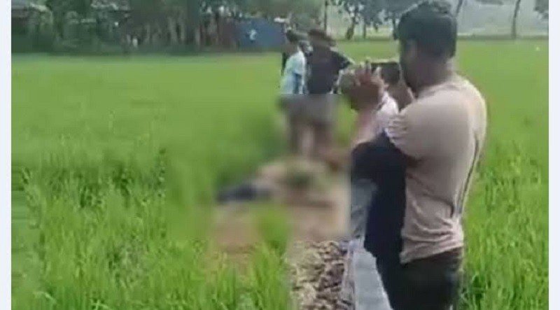 নোয়াখালীতে ইঁদুর মারার বৈদ্যুতিক ফাঁদে প্রাণ গেল কৃষকের