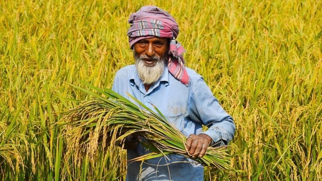বিশ্ব খাদ্য দিবস: পৃথিবীতে খাবার আছে, তবু ক্ষুধার্ত কোটি কোটি মানুষ