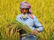 বিশ্ব খাদ্য দিবস: পৃথিবীতে খাবার আছে, তবু ক্ষুধার্ত কোটি কোটি মানুষ