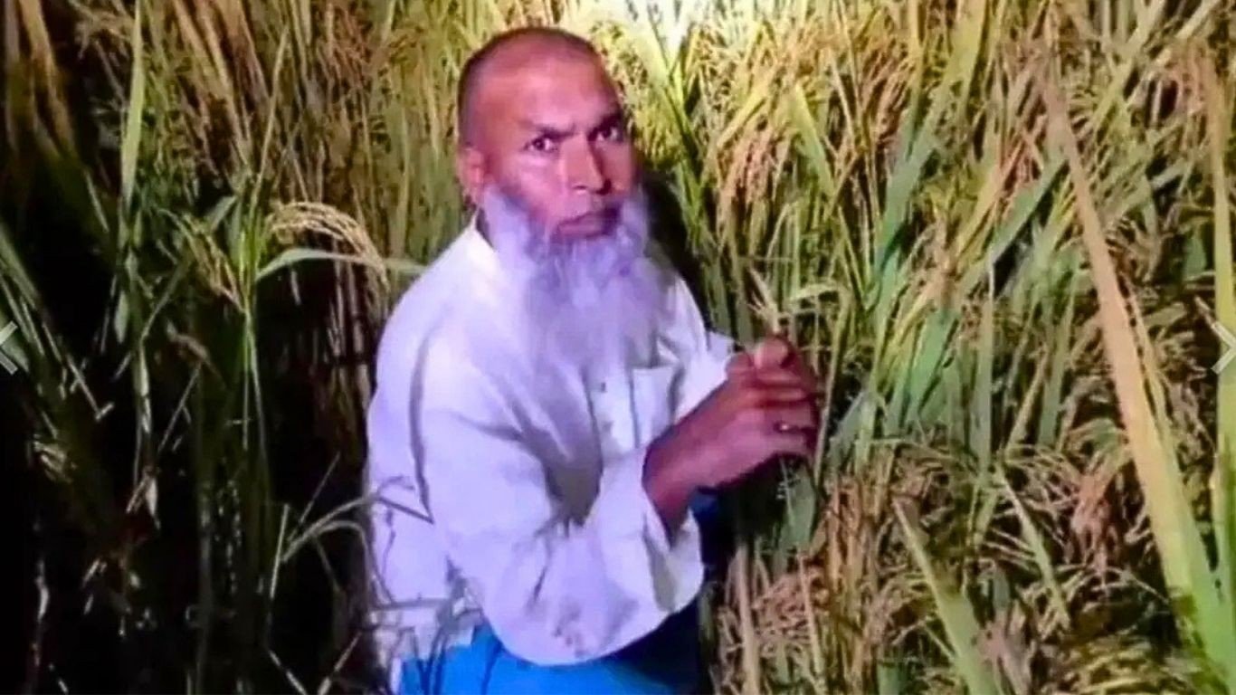ধানক্ষেতে লুকিয়ে থেকেও গ্রেপ্তার হলেন আওয়ামী লীগ নেতা