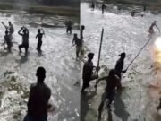 লাঠিসোঁটা হাতে বাংলাদেশি কৃষকদের প্রতিরোধ, পিছু হটল বিএসএফ